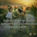 ���� �����, ������, 33 ���� - ��������� 15 ����� 2024 � ������ ���� ����������