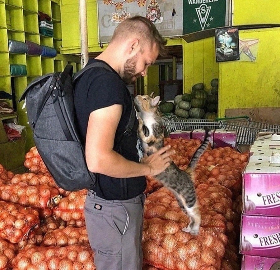 ��� ���������!) - 2