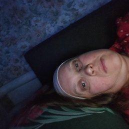 �������, ����, 40 ���