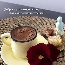 �����, ���������, 53 ����