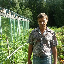 , 63 , 