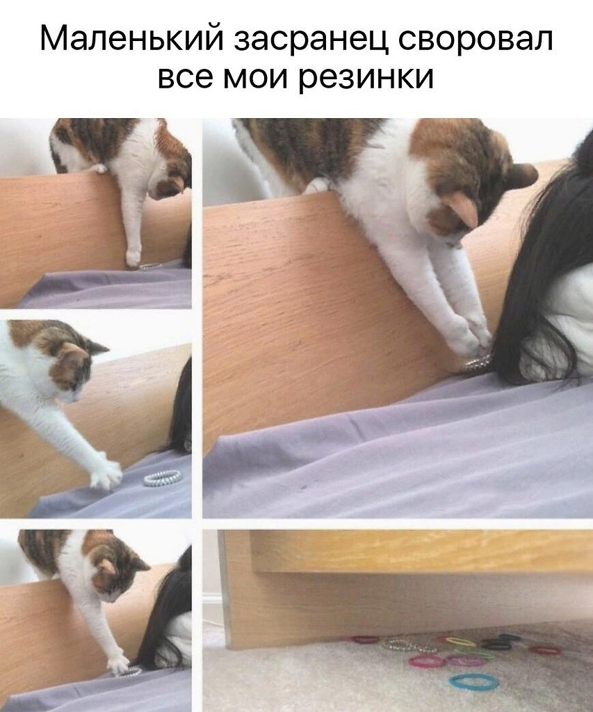    - 28  2024  11:42