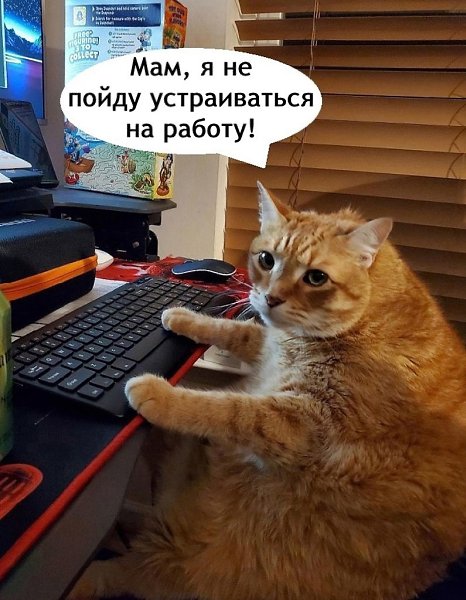 � �a� �o�