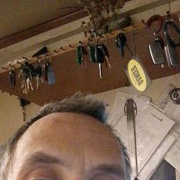 ������, 43 ����, �����