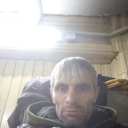 ������, 48 ���, ����