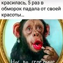  , , 61  -  20  2025    