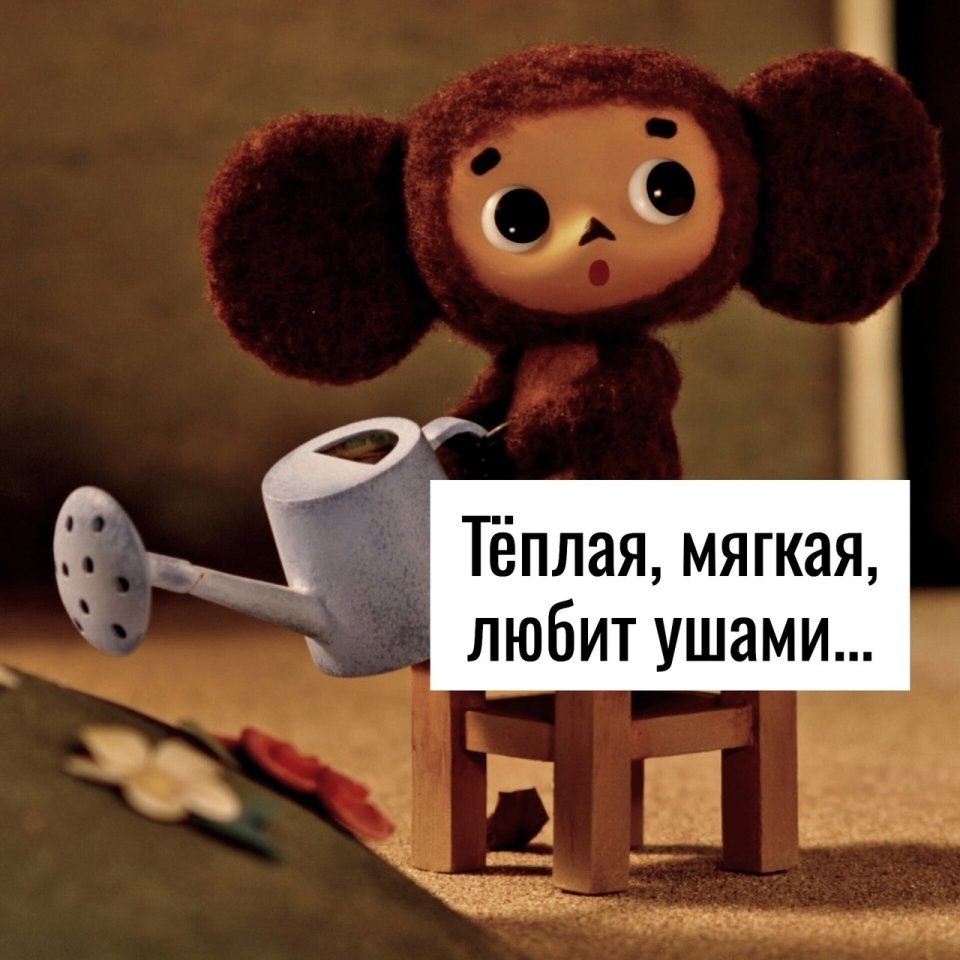      - 2