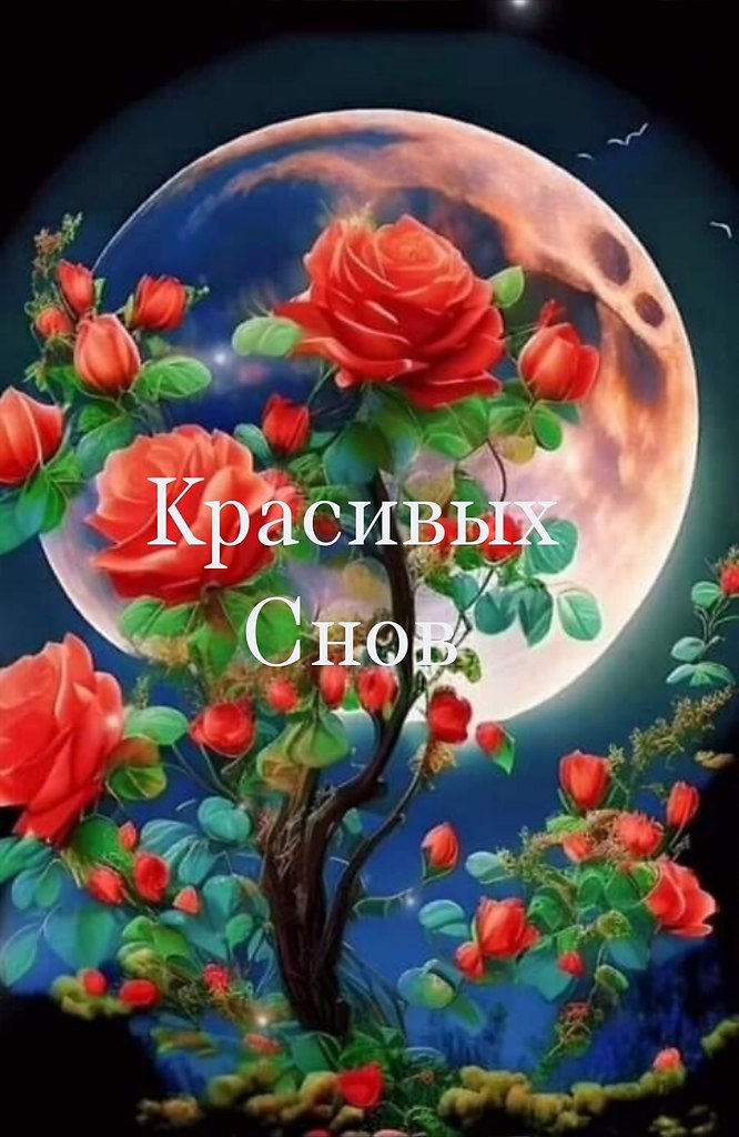   ,    . - 11  2024  21:09 - 2