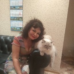 , 64, 