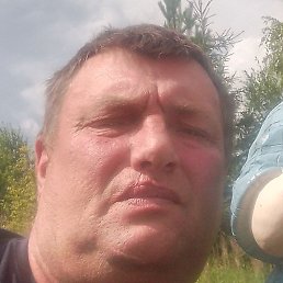 �������, �����-���������, 54 ����