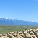  , , 65  -  15  2024   .