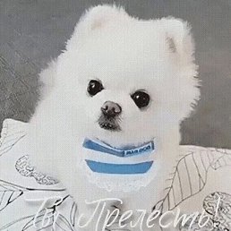 ����, �����������, 47 ���