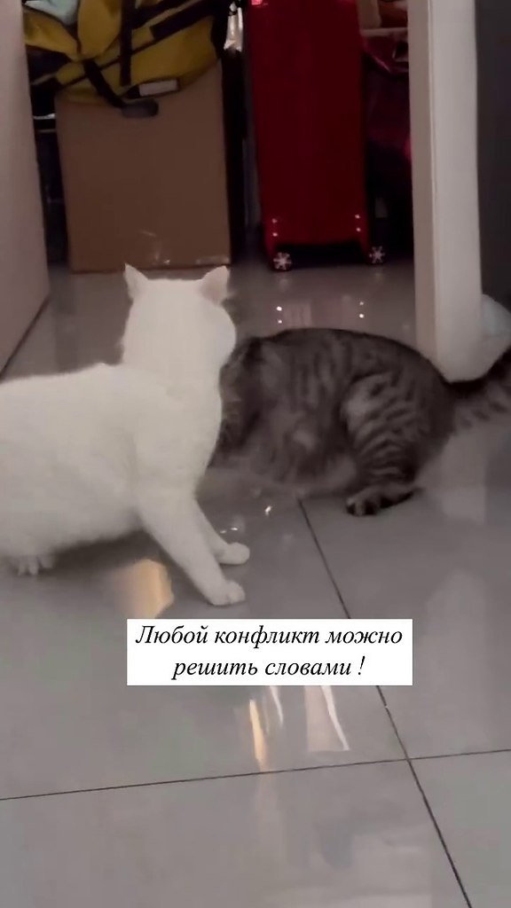     !) - 2