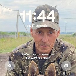 , 50 , 