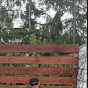 ���� ���������, ���������, 46 ��� - ��������� 28 ��� 2024