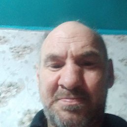 ����, ������, 46 ���