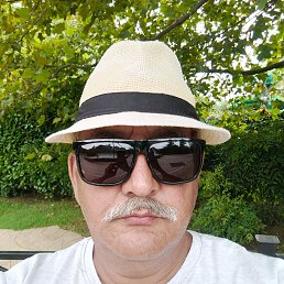 ����, 55 ���, ���������