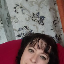 ����, 43 ����, ���������