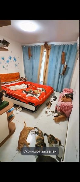     ,      