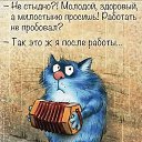   ,  -  11  2024    