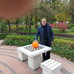 , 53 , 