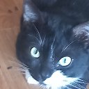 ���� ����, �������, 48 ��� - ��������� 6 ����� 2024 � ������ ���� ����������