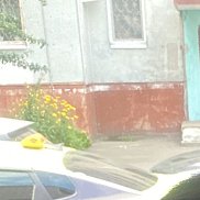 , 58 , 