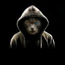 ���� Baton, �����������, 33 ���� - ��������� 9 ����� 2024 � ������ ���� ����������