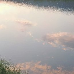 ��������, �������, 43 ����