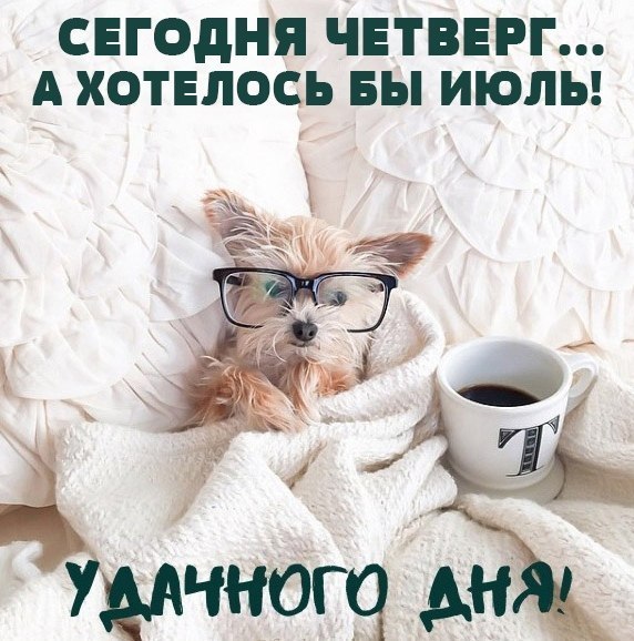   - 19  2025  10:56