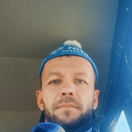 , 41,  