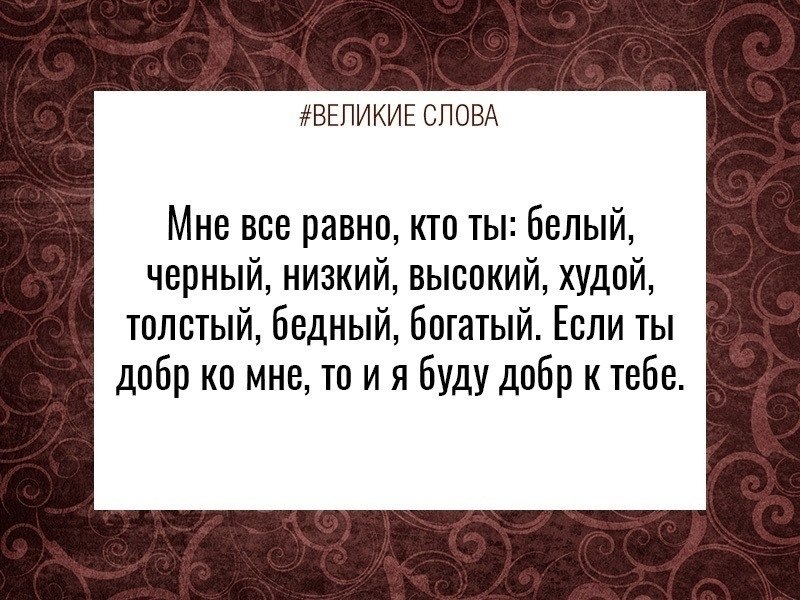 ������� ����� | ������, ����� � �������� - 20 �������� 2025 � 15:59