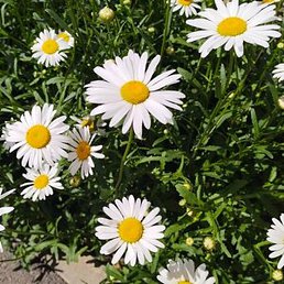 �����, ��������, 22 ����