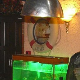 ���������, �����������, 59 ���