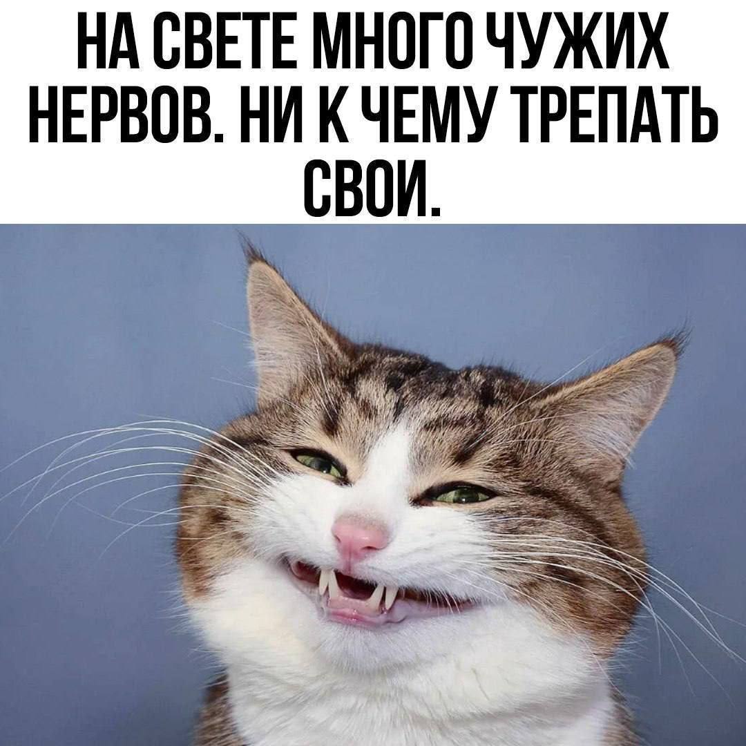  - 12  2025  11:05
