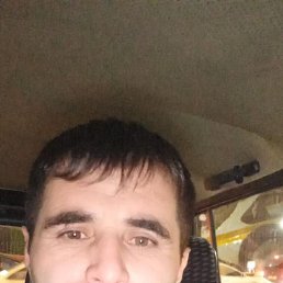 , 37, 