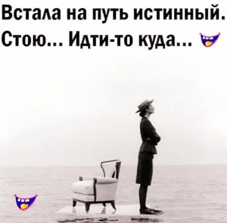 ☆ ☆ - 19  2025  00:08