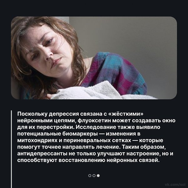  |  |   5 - 1  2025  08:41 - 3