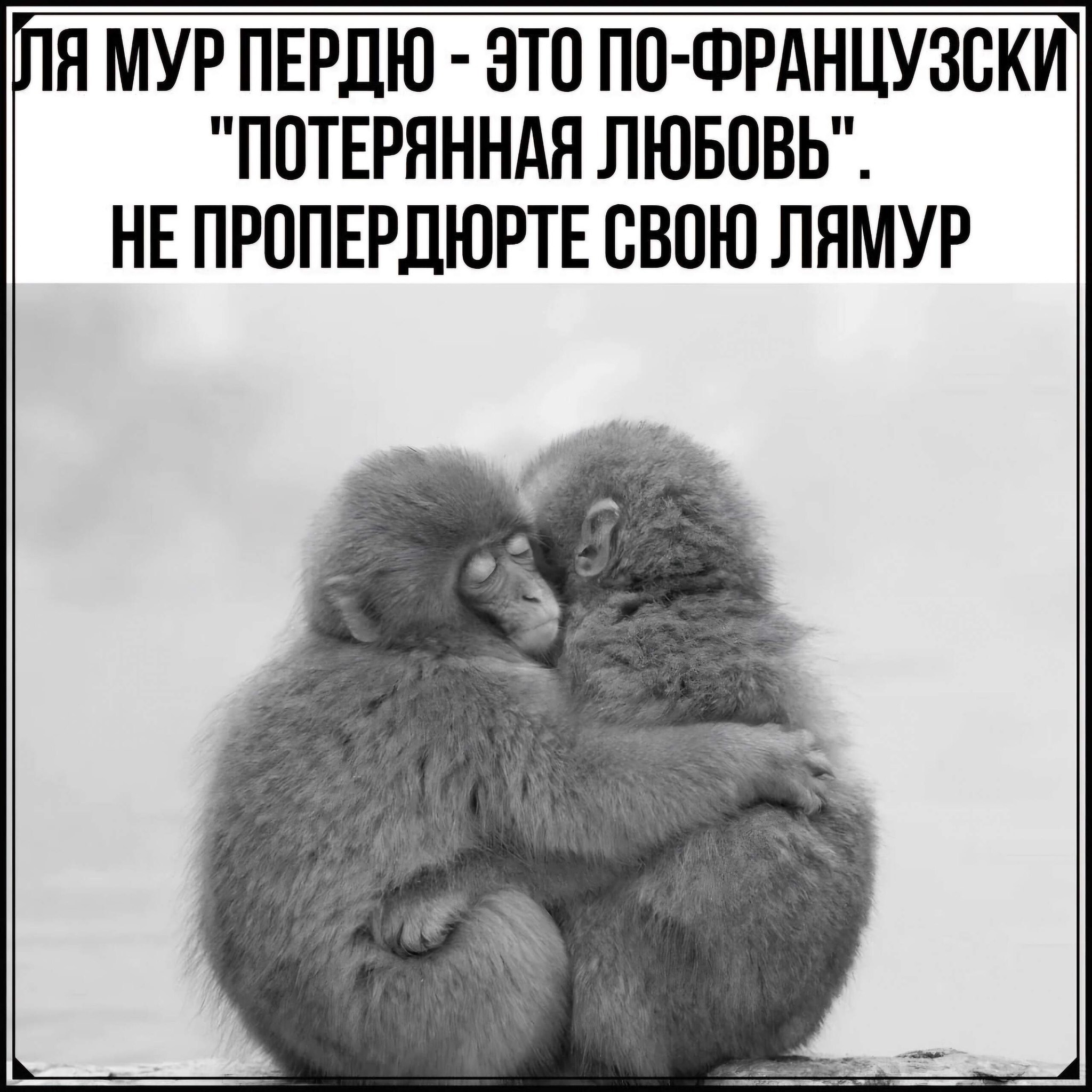 ***Victoria Viktorovna*** - 4  2025  04:09