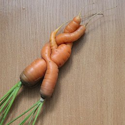 ����, ������, 25 ���