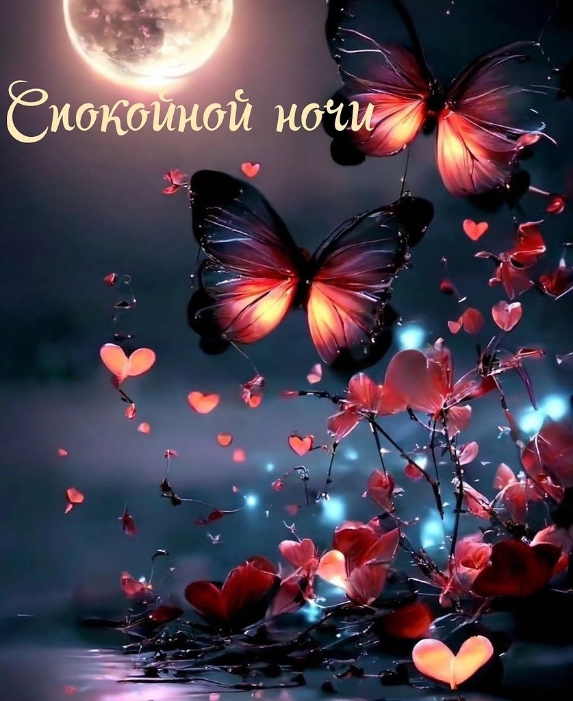   ,    . - 15  2024  21:39 - 4
