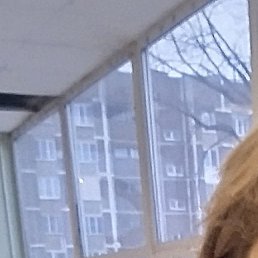 �����, ������, 48 ���