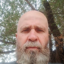 , 53, 