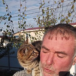 ������, �����������, 52 ����