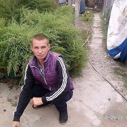 , 37, 