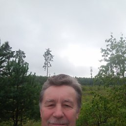 , 61, 