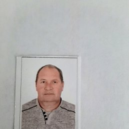 , 53, 