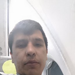 , 33, 