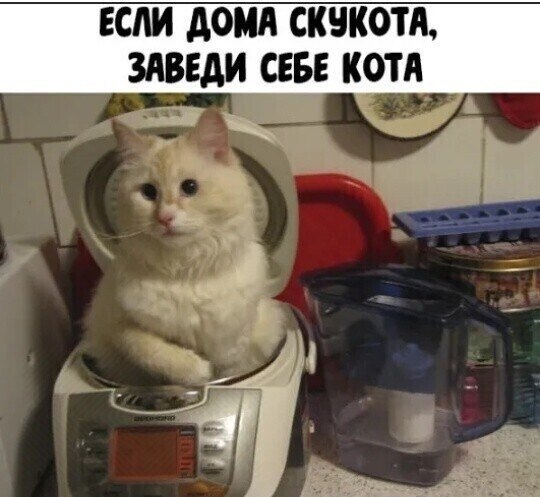 ☆ ☆ - 2  2023  23:11