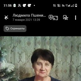 , 65, 